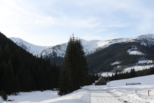 dolina_chocholowska_tatry_zachodnie_640