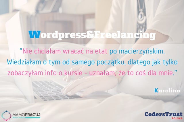 wordpress freelancing