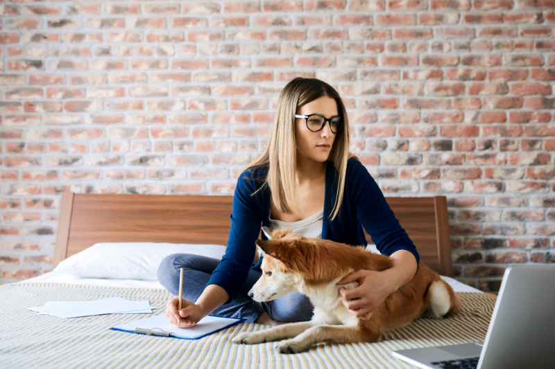 testowanie od czego zacząć