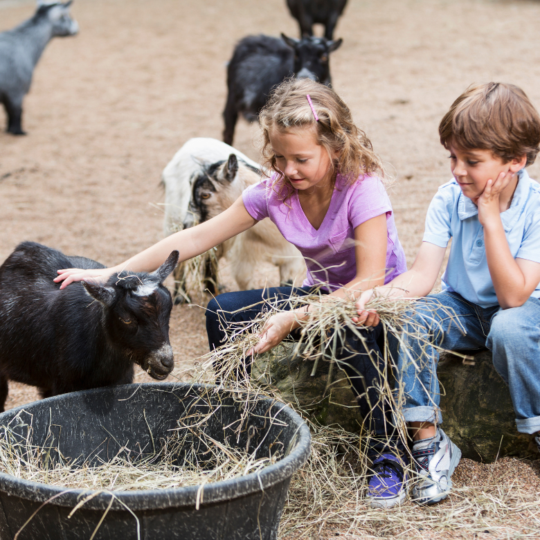 małe zoo Płock dzieci